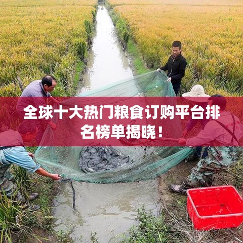 全球十大熱門糧食訂購平臺排名榜單揭曉!