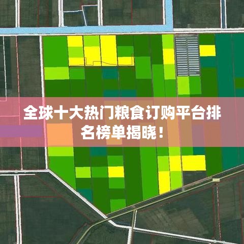全球十大熱門糧食訂購平臺排名榜單揭曉!