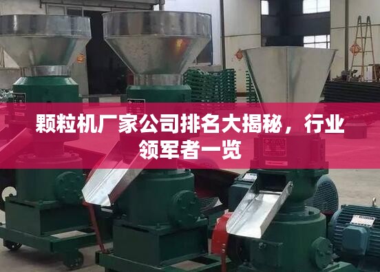 顆粒機(jī)廠家公司排名大揭秘,行業(yè)領(lǐng)軍者一覽