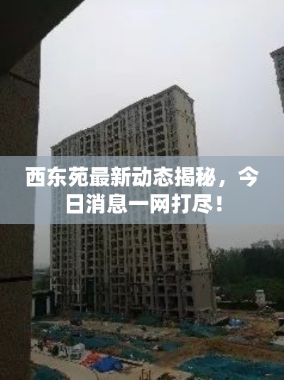 西東苑最新動態揭秘,今日消息一網打盡!