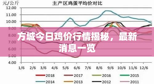 方城今日雞價行情揭秘，最新消息一覽