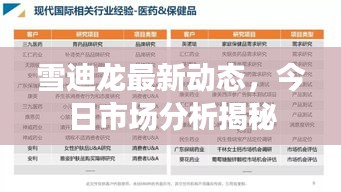雪迪龍最新動態，今日市場分析揭秘