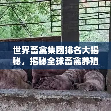 世界畜禽集團排名大揭秘,揭秘全球畜禽養殖巨頭榜單