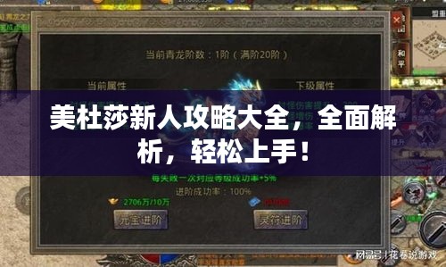 美杜莎新人攻略大全，全面解析，輕松上手！