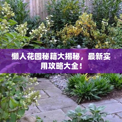 懶人花園秘籍大揭秘,最新實用攻略大全!