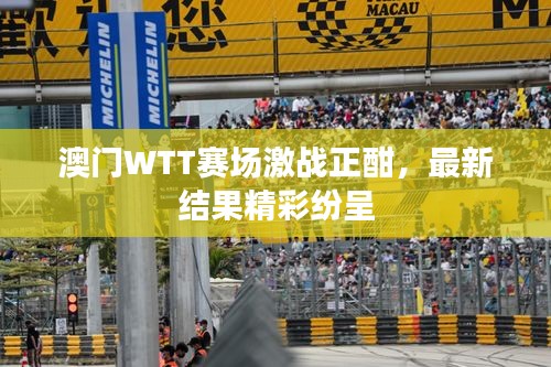 澳門WTT賽場激戰正酣,最新結果精彩紛呈