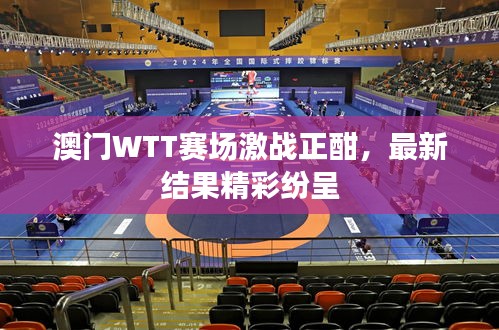澳門WTT賽場激戰正酣,最新結果精彩紛呈