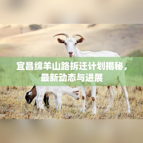 宜昌綿羊山路拆遷計劃揭秘，最新動態與進展