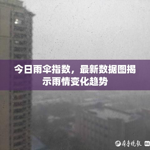今日雨傘指數,最新數據圖揭示雨情變化趨勢