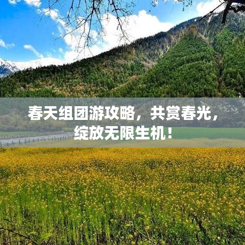 春天組團(tuán)游攻略,共賞春光,綻放無限生機!