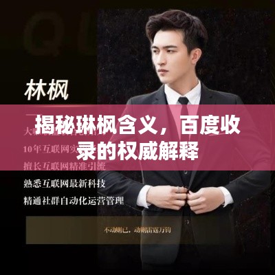 揭秘琳楓含義,百度收錄的權(quán)威解釋