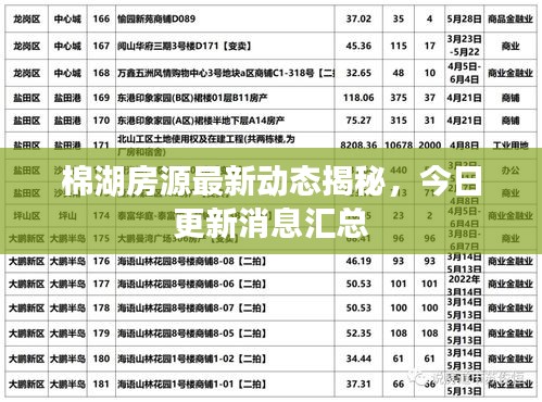 棉湖房源最新動態揭秘,今日更新消息匯總