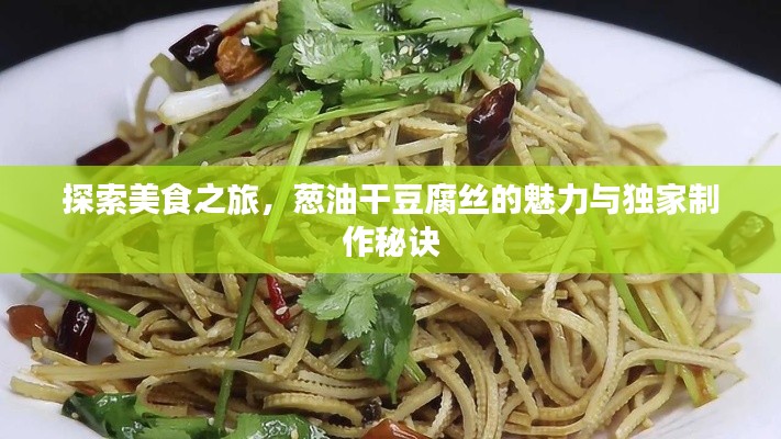 探索美食之旅,蔥油干豆腐絲的魅力與獨(dú)家制作秘訣