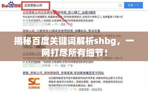 揭秘百度關(guān)鍵詞解析shbg，一網(wǎng)打盡所有細(xì)節(jié)！