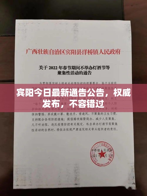 賓陽今日最新通告公告,權威發布,不容錯過
