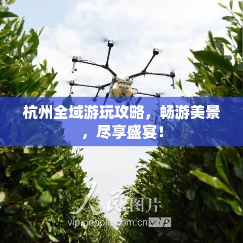 杭州全域游玩攻略，暢游美景，盡享盛宴！
