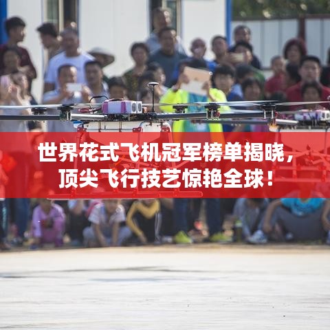 世界花式飛機冠軍榜單揭曉,頂尖飛行技藝驚艷全球!