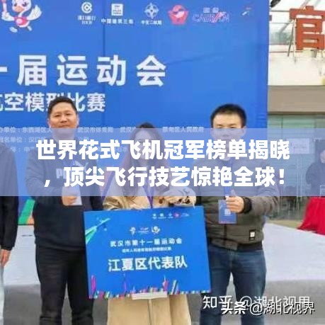 世界花式飛機冠軍榜單揭曉,頂尖飛行技藝驚艷全球!