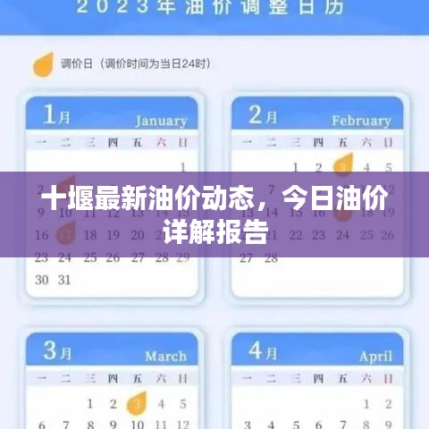 十堰最新油價動態,今日油價詳解報告