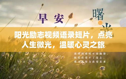陽光勵志視頻語錄短片,點亮人生微光,溫暖心靈之旅