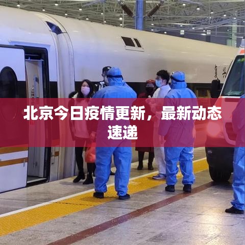 北京今日疫情更新,最新動(dòng)態(tài)速遞