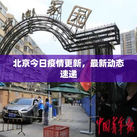 北京今日疫情更新,最新動態速遞
