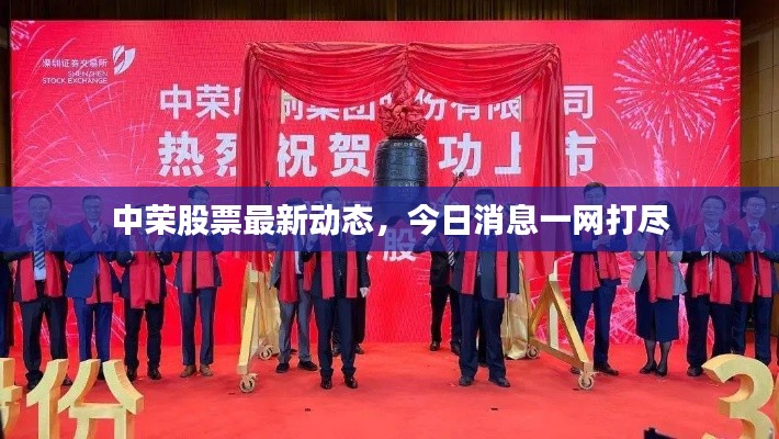 中榮股票最新動態,今日消息一網打盡