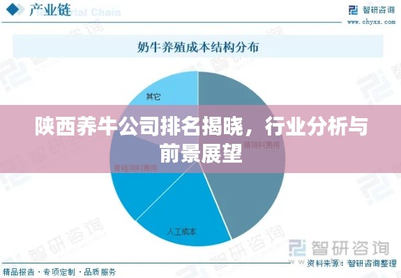 陜西養(yǎng)牛公司排名揭曉,行業(yè)分析與前景展望