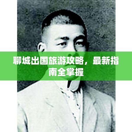 聊城出國(guó)旅游攻略,最新指南全掌握