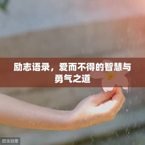 勵志語錄,愛而不得的智慧與勇氣之道