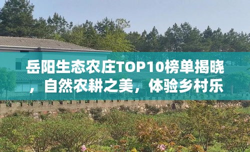 岳陽生態農莊TOP10榜單揭曉,自然農耕之美,體驗鄉村樂趣