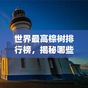 世界最高棕樹排行榜，揭秘哪些棕樹高聳入云！