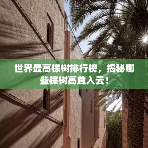 世界最高棕樹排行榜,揭秘哪些棕樹高聳入云!