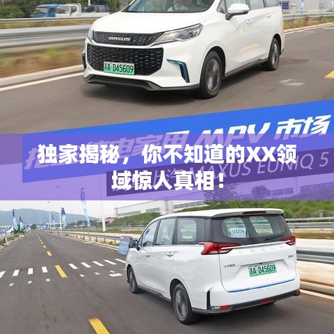 獨家揭秘，你不知道的XX領域驚人真相！