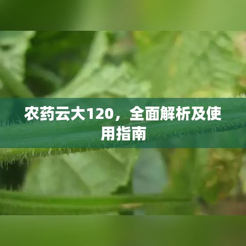 農藥云大120,全面解析及使用指南