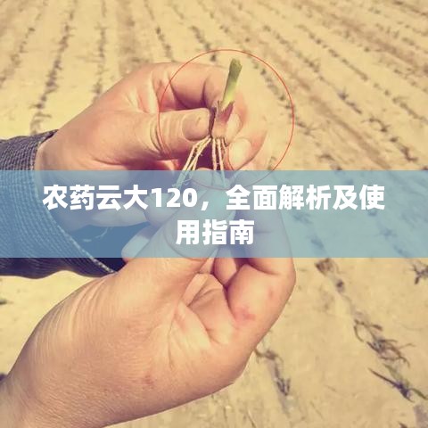 農藥云大120,全面解析及使用指南