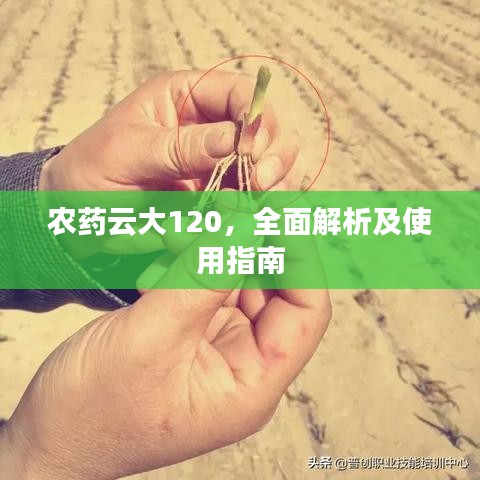 農藥云大120,全面解析及使用指南