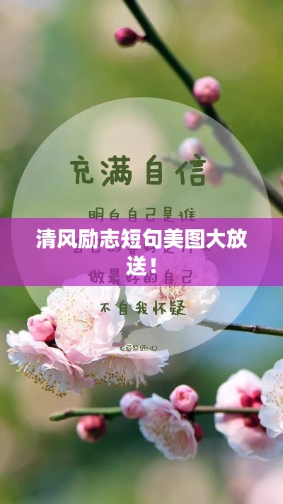 清風勵志短句美圖大放送!