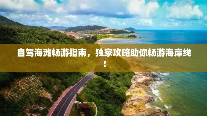 自駕海灘暢游指南,獨家攻略助你暢游海岸線!