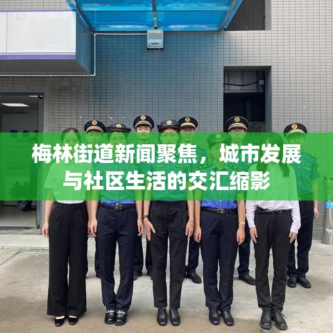 梅林街道新聞聚焦,城市發展與社區生活的交匯縮影