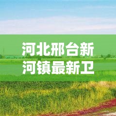 河北邢臺(tái)新河鎮(zhèn)最新衛(wèi)星地圖全景,古鎮(zhèn)新貌揭秘