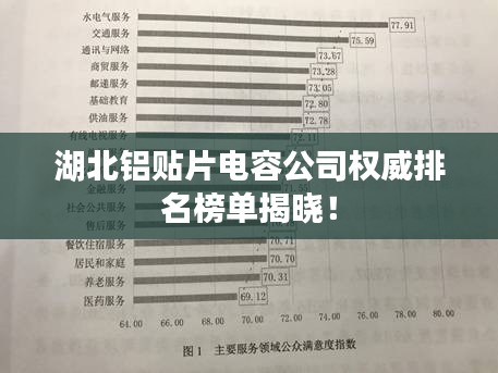湖北鋁貼片電容公司權威排名榜單揭曉!