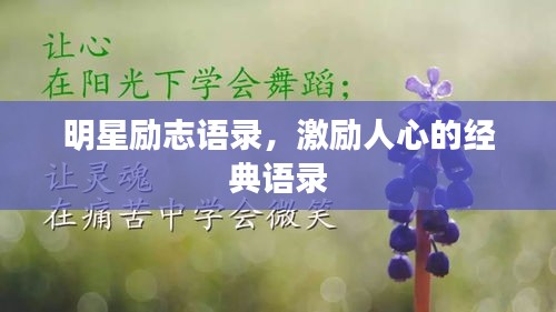 明星勵志語錄,激勵人心的經典語錄