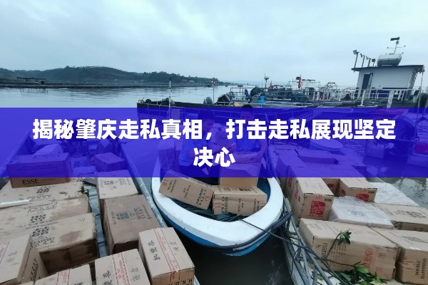 揭秘肇慶走私真相,打擊走私展現堅定決心