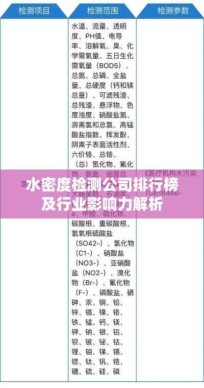 水密度檢測公司排行榜及行業(yè)影響力解析