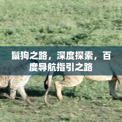 鬣狗之路，深度探索，百度導航指引之路