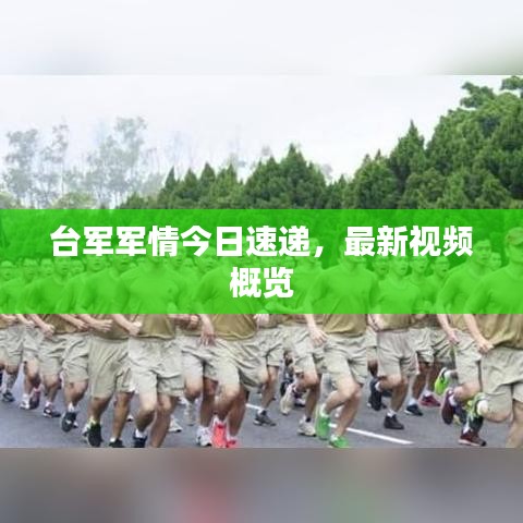 臺(tái)軍軍情今日速遞,最新視頻概覽