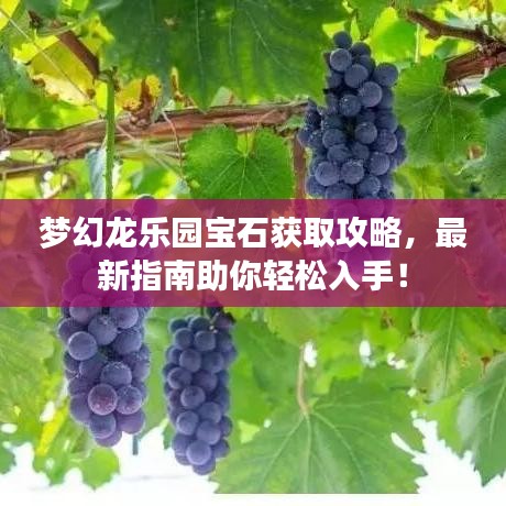 夢幻龍樂園寶石獲取攻略，最新指南助你輕松入手！