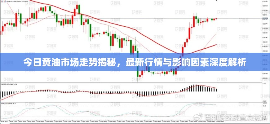 今日黃油市場走勢揭秘,最新行情與影響因素深度解析
