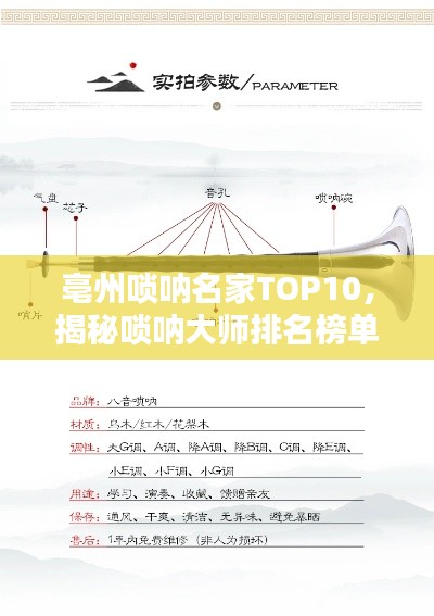 亳州嗩吶名家TOP10,揭秘嗩吶大師排名榜單!